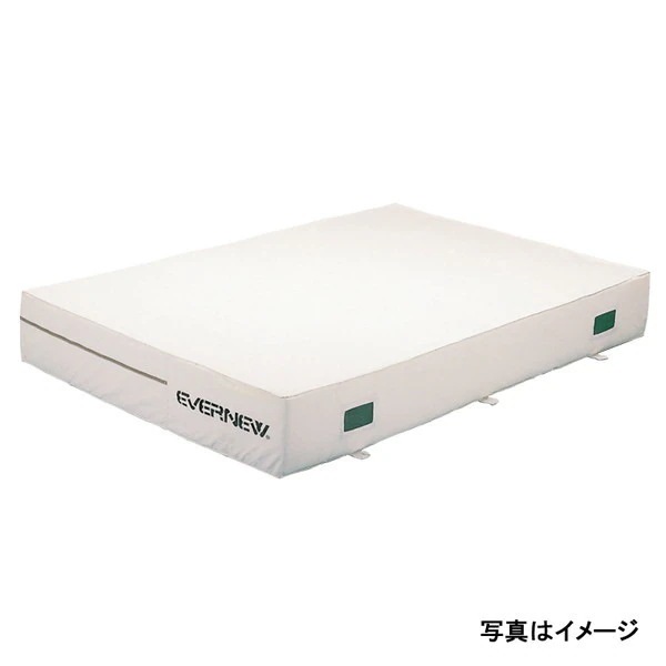 EGD102 屋内エバーマット200×300×20 【法人限定】 メーカー直送