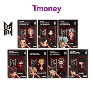 BTS-T-MONEY