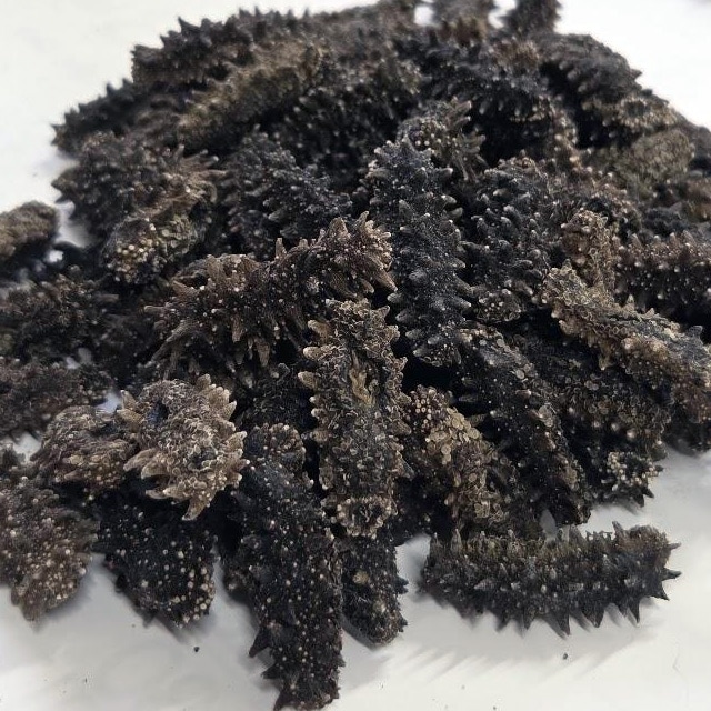 北海道産 天然乾燥ナマコ【AB級品】SSサイズ300g（約100-165個入）実りある贅沢を
