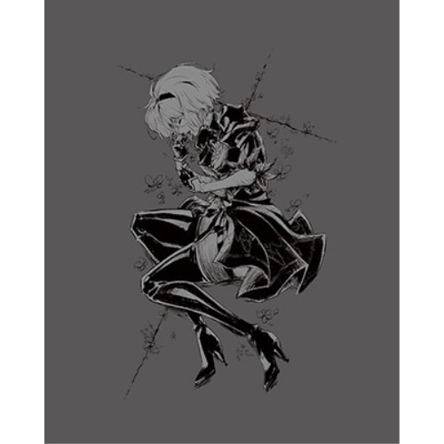 NieR:Automata Ver1.1a DVD BOX Vol.1(完全生産.. (DVD) ANZB-16681