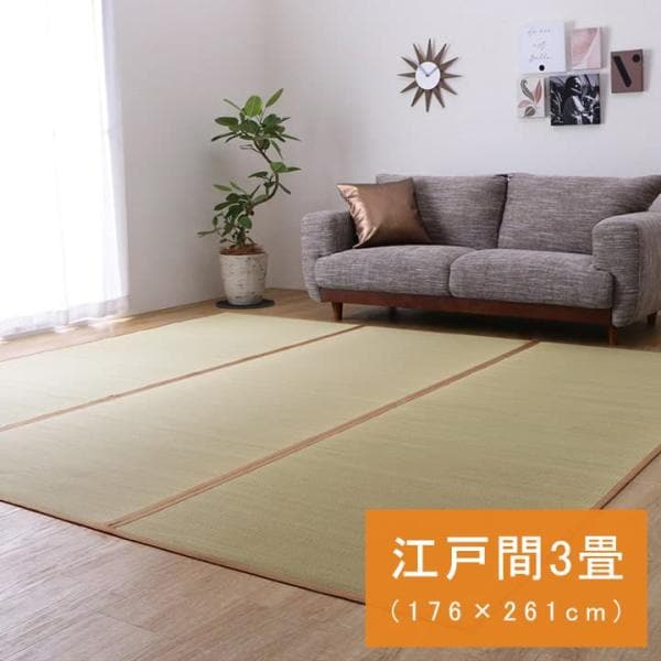 DX素肌美人 い草 ござ 上敷き 和室 敷物 カーペット リビング フローリング お手入れ簡単 夏 抗菌防臭 調湿 消臭 空気清浄 汚れにくいDXSHD02ed