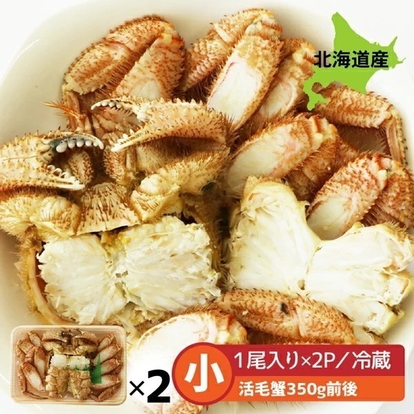 毛蟹 北海道産 毛ガニ 北海道 産 小 2尾 セット 冷蔵便 350g前後(活毛蟹350g前後) 毛蟹 北海道産 けがに 毛がに 毛かに 毛カニ 蟹みそ保証 山崎水産【ym_rza】