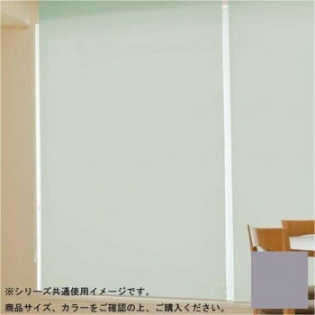 タチカワ ファーステージ 防炎ロールスクリーン ダークブラウン 幅60x高さ180cm プルコード式 TR-1053 スレートグレー