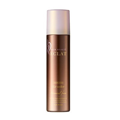 3点セット 未使用 ヘアボーテ エクラ ボタニカル エアカラーフォーム 150g ヘアボーテ エクラ ボタニカルエアカラーフォームup