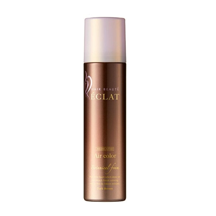 ヘアボーテエクラ　ボタニカルエアカラーフォーム　ブラック150g×3本 ヘアボーテエクラボタニカルエアカラーフォームup3本P付特別