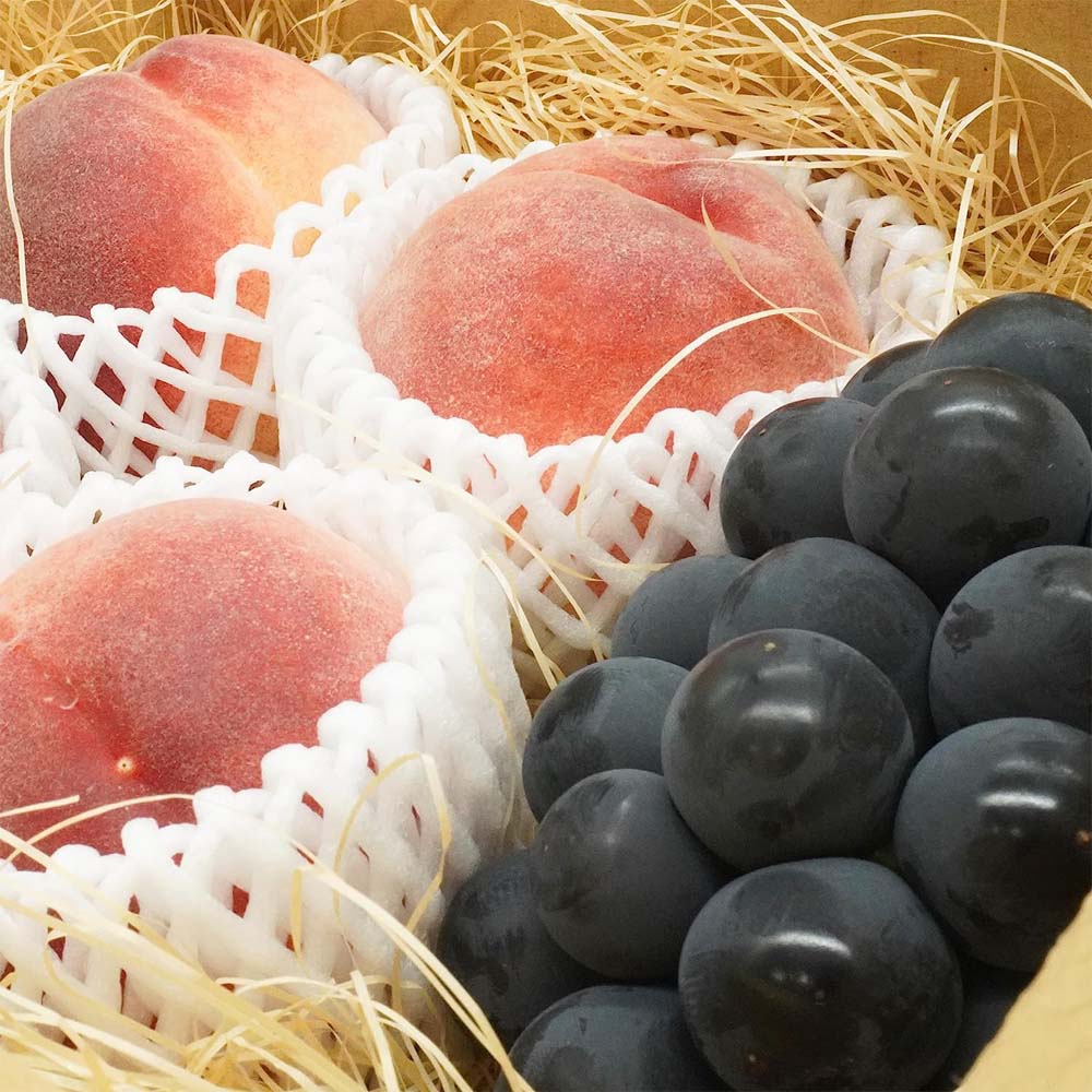 旬のフルーツセット 桃 4玉 種なしぶどう 1房 産地お任せ フルーツ 2種 セット 葡萄 ぶどう 巨峰 ピオーネ ナガノパープル など 果物 フルーツ 詰め合わせ