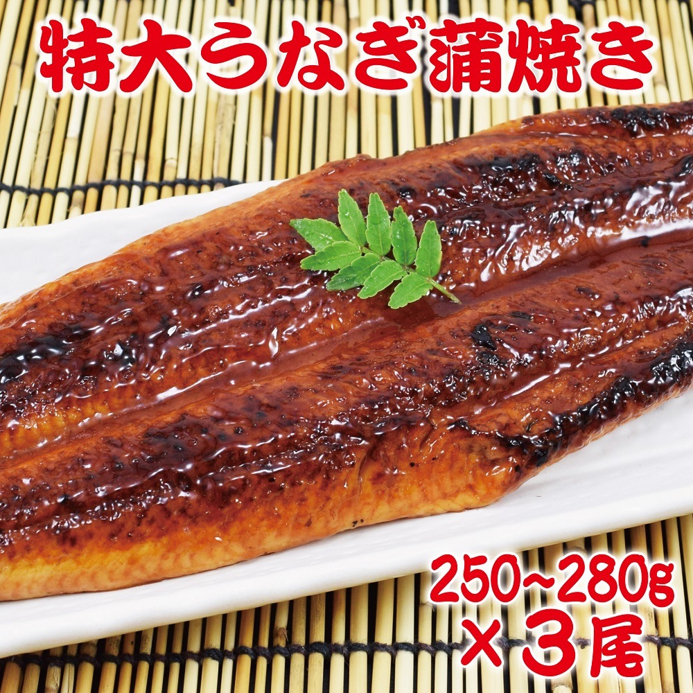 250-280g　特大うなぎ蒲焼き3尾セット (1尾あたり250-280g) 訳あり 特製たれ & 山椒付