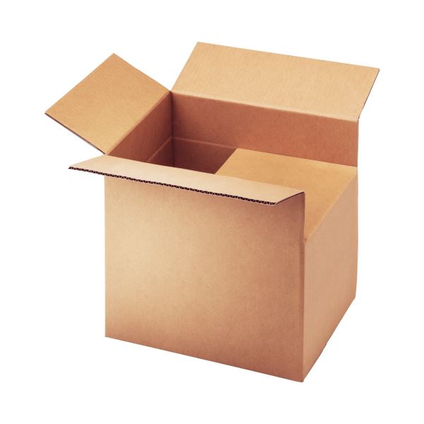 （まとめ）TANOSEE 無地ダンボール箱 B4（S）サイズ 高さ調整タイプ 1パック（10枚） 5セット