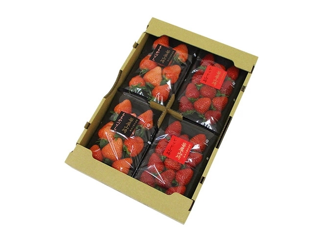 静岡県 =ももかベリー＋レッド山崎 食べ比べセット= 2pc x2セット いちご 予約 2月以降