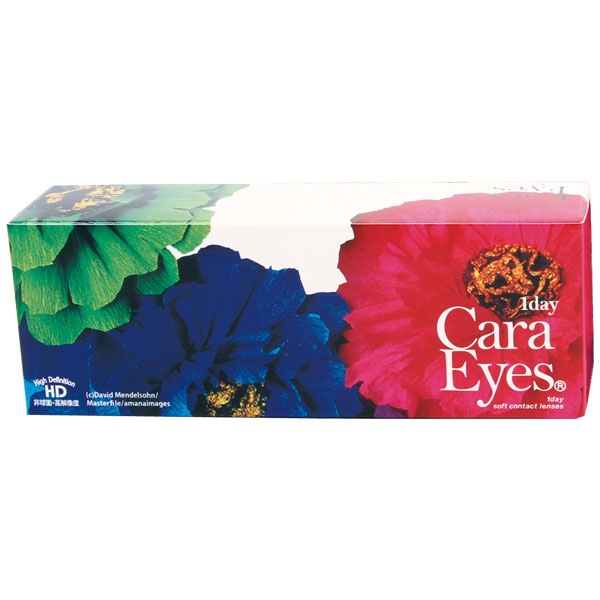 ワンデーキャラアイ 2箱セット 1day CaraEyes カラーコンタクト 度あり 度なし