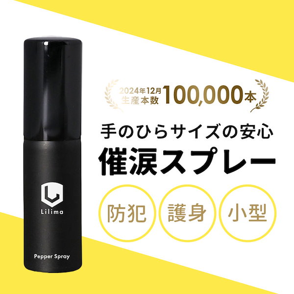 Rina様ご確認用ページ！① DAIKOU フィットネスバイク 背もたれ 高齢者 リカンベントバイク