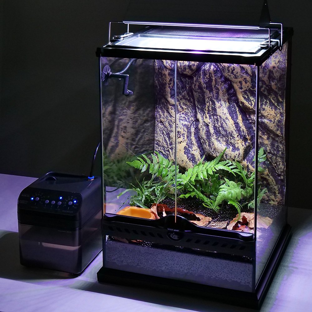 （観葉植物）ヤドクガエル　飼育セット　お一人様２点限り　ＣＲＣ17―10―35―20―00