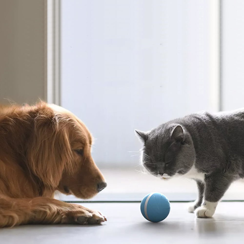 TF005ウィキッド見るペット動く防水おもちゃ77mm /韓国配送/ペット用品