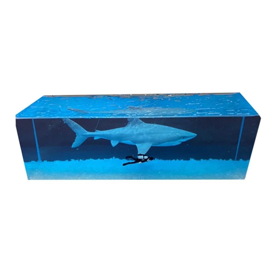 サメ ジンベエザメ フィギュア 鯨類 海洋動物 台座付き LEDライト コレクター ギフト 樹脂 プラモデル お祝い インテリア オリジナル プレゼント 置物 模型