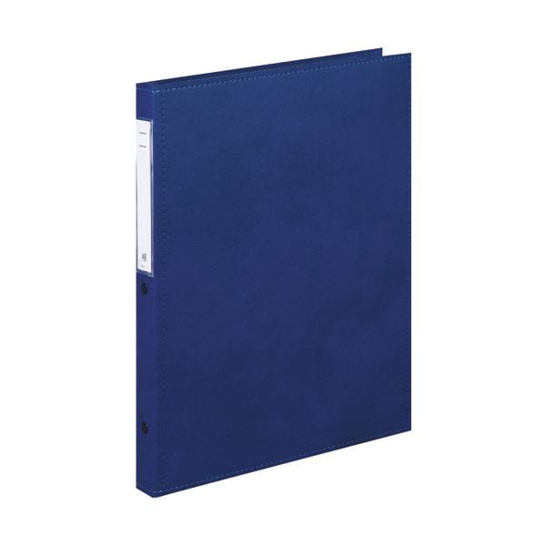 （まとめ）リヒトラブ カルテブック（スタンダード）A4タテ 30穴 背幅28mm ブルー HB408-1 1冊(×2セット)