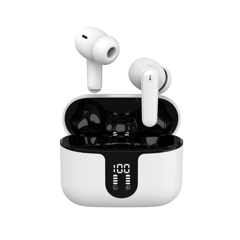 カシムラ　スマート完全ワイヤレス ステレオイヤホン ( ANC / AAC / 防水 ) 　BL-126