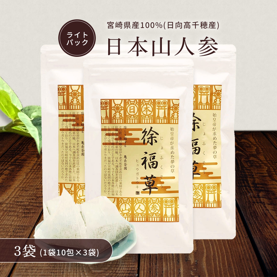 日本山人参【お茶 ライトパック(1.5g×10包)】3袋セット お試しサイズ ヒュウガトウキ 自社農園 無添加 無農薬 温活 冷房対策 冷え性 血圧 血糖値 健康茶 YN-1 5,041円