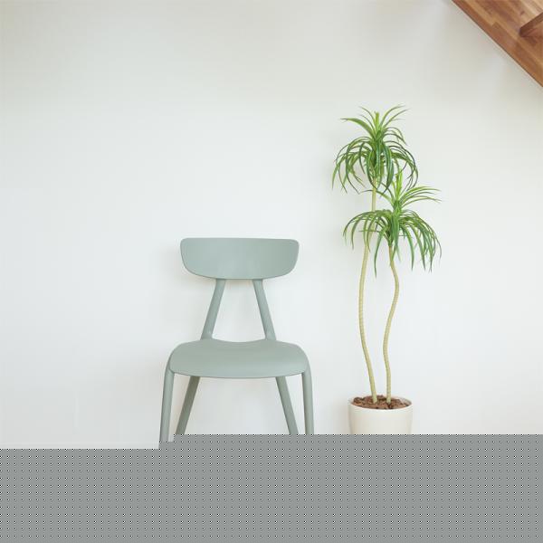 ダイニングチェア 椅子 リビング 食卓 曲線 個性的 おしゃれ カフェ 軽量 持ち運び スタッキング可能 収納 かわいい 緑 グリーン 黄色 イエロー 白 ホワイト