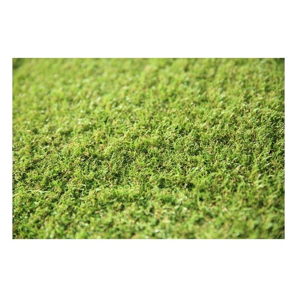 メモリーターフスウィート 芝丈 20mm 幅1m×長さ10m 人工芝 ゴルフ スポーツ 緑化