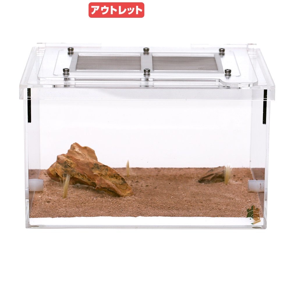 アウトレット品　リトルカーペンターズ　アリ飼育用　レイアウト済み中餌場　蟻　飼育容器　ＣＲＣ18―35―97―00―00