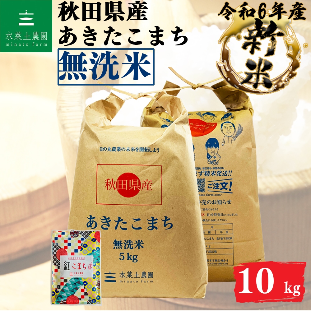 あきたこまち 無洗米 10kg 秋田県産 令和6年産　選べるお試し袋付き
