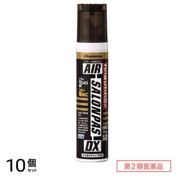 第２類医薬品 エアーサロンパスDX 120mL 10個セット
