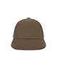 1884_Brown