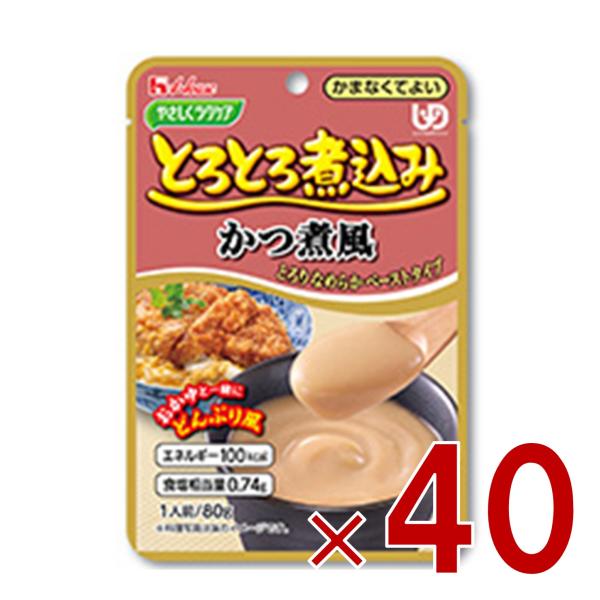 ハウス食品 やさしくラクケア とろとろ煮込み かつ煮風 80g ハウスギャバン ギャバン ケアフード 介護食品 レトルト かまなくてよい 惣菜 40個