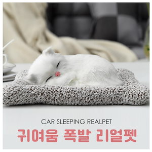 [KC認証] 車用リアルペット 眠る犬 猫 かわいい アクセサリー 消臭除湿効果 小物 人形 装飾 除湿剤
