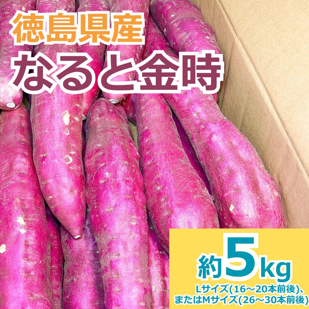 さつまいも ５kg なると金時 徳島県産 秀品 L～Mサイズ 金時芋 鳴門金時 甘い サツマイモ さつま芋 ねっとり しっとり 焼き芋にぴったり
