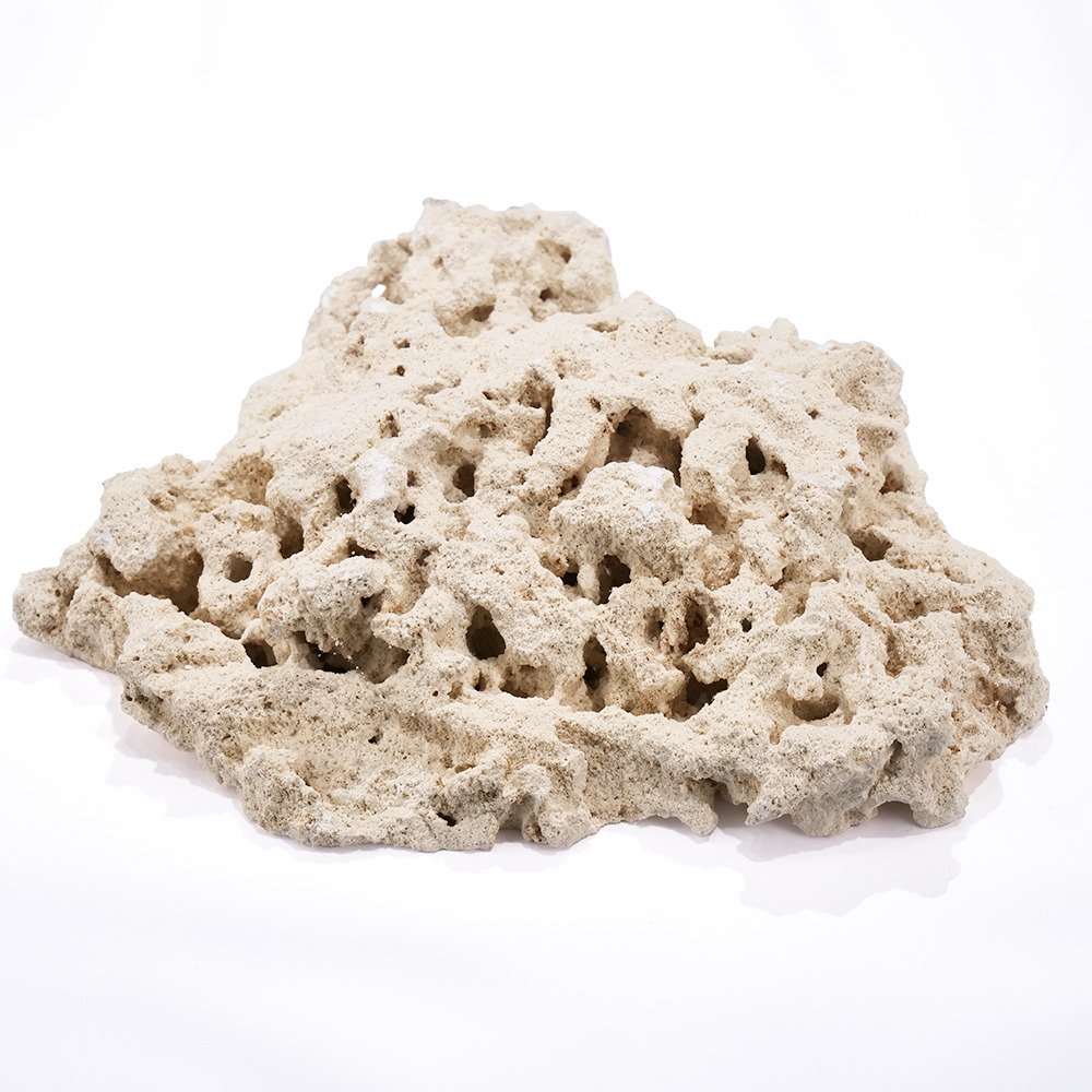 マルコロック　ファウンデーション　Ｌサイズ　１個　サンゴ　石　海水　水槽　飾り　レイアウト　ＣＲＣ21―20―90―00―00