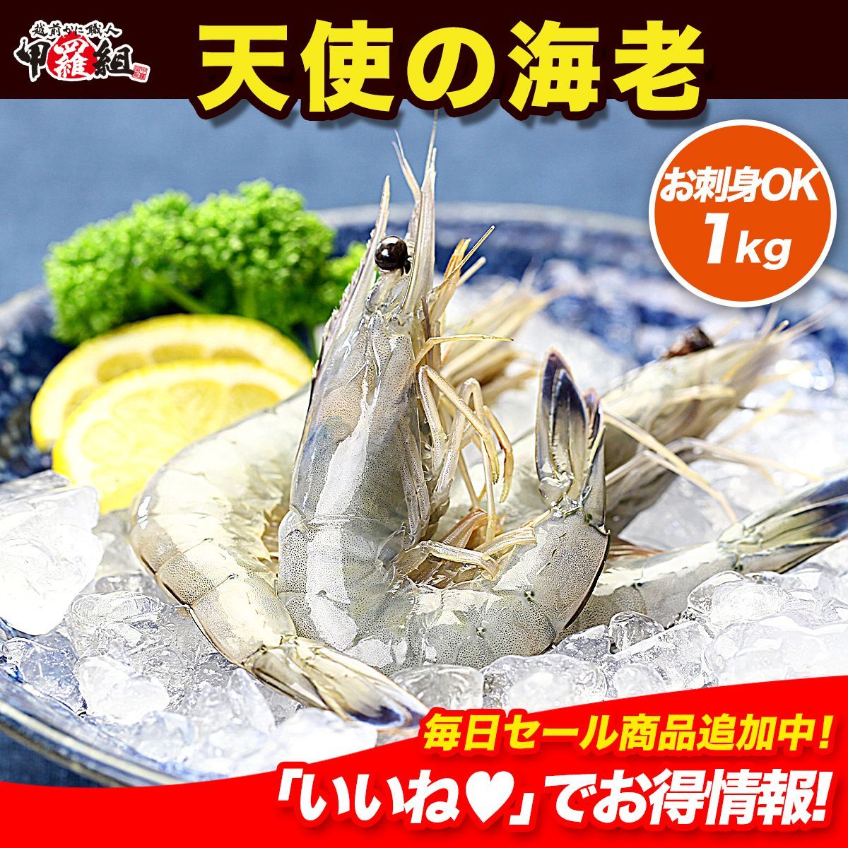 高級クルマエビを超えた！天使の海老1kg（30～40尾入）【天使の海老】【天使のえび】【天使のエビ】