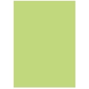 ★決算特価商品★ カラーペーパー/リサイクルコピー用紙 北越製紙 [B4 グリーン(緑) 日本製 500枚x5冊] コピー用紙