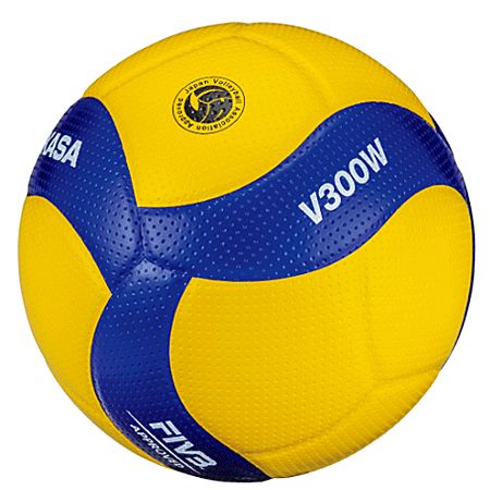 バレーボール5号球 一般・大学・高校用 V300W