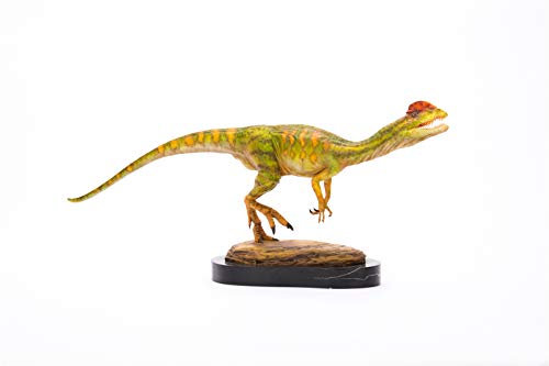Memory Museum 1/15 サイズ ディロフォサウルス 恐竜 リアル フィギュア PVC プラモデル おもちゃ 模型 誕生日 プレゼント オリジナル 49cm級 台座付き