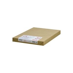 （まとめ）Nagatoya OA大札和紙 ナ-857 A4 白 250枚(×2セット)