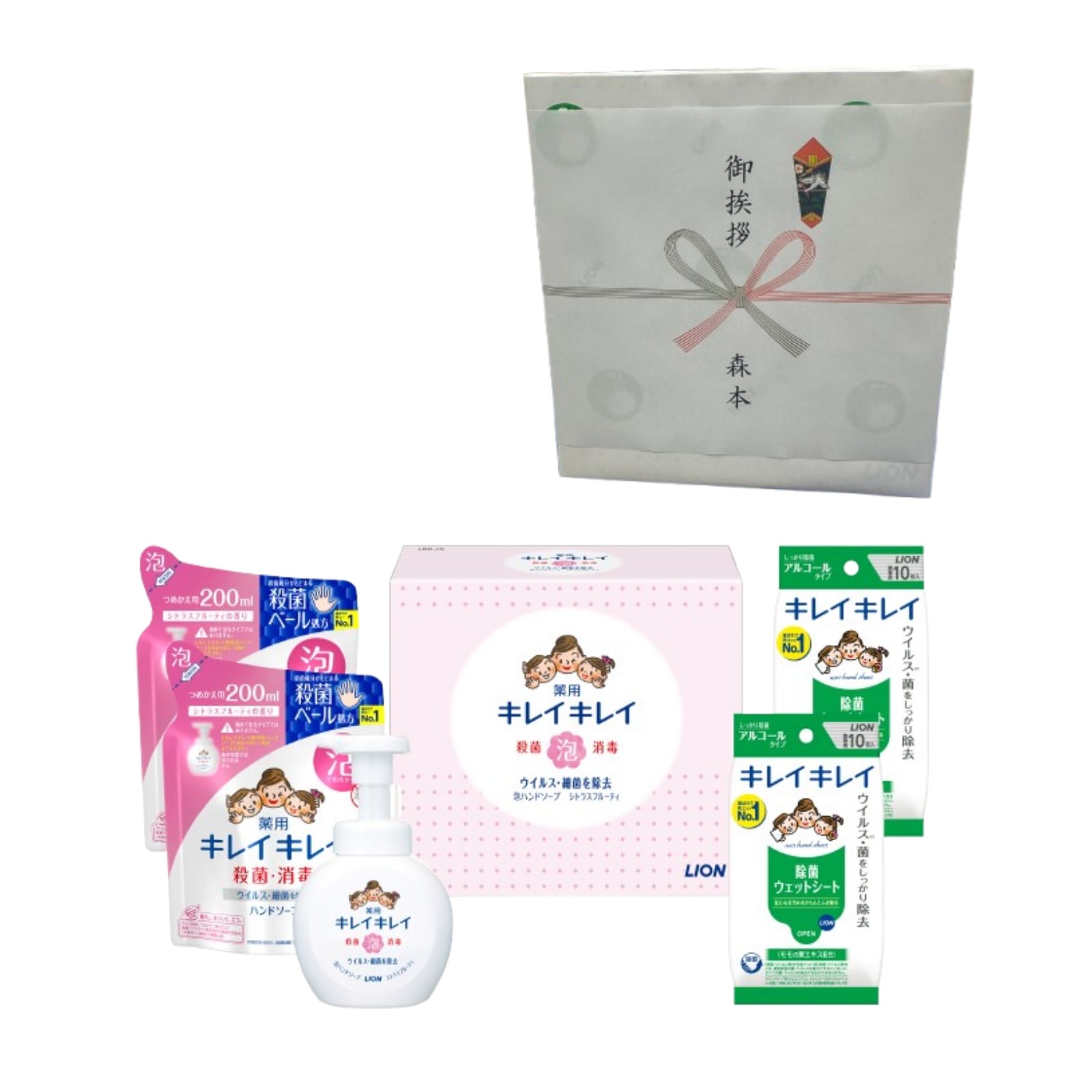 【6個セット】ハンドソープセット LBB-D 薬用 詰め替え2個 除菌ウェットシート付き 引越し 挨拶 ギフト 退職 粗品 企業 ノベルティ 衛生用品