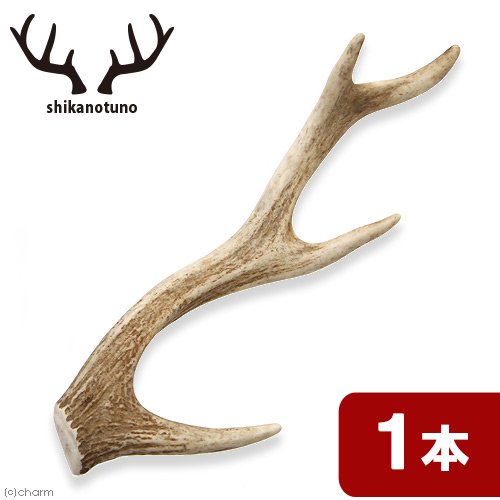 犬用おもちゃ　鹿の角　ノーカット　１本　（長さ２５ー４５ｃｍ前後）　犬　おもちゃ　デンタルケア　中型犬　大型犬　超大型犬　国産　鹿角　ＣＲＣ40―58―10―00―00