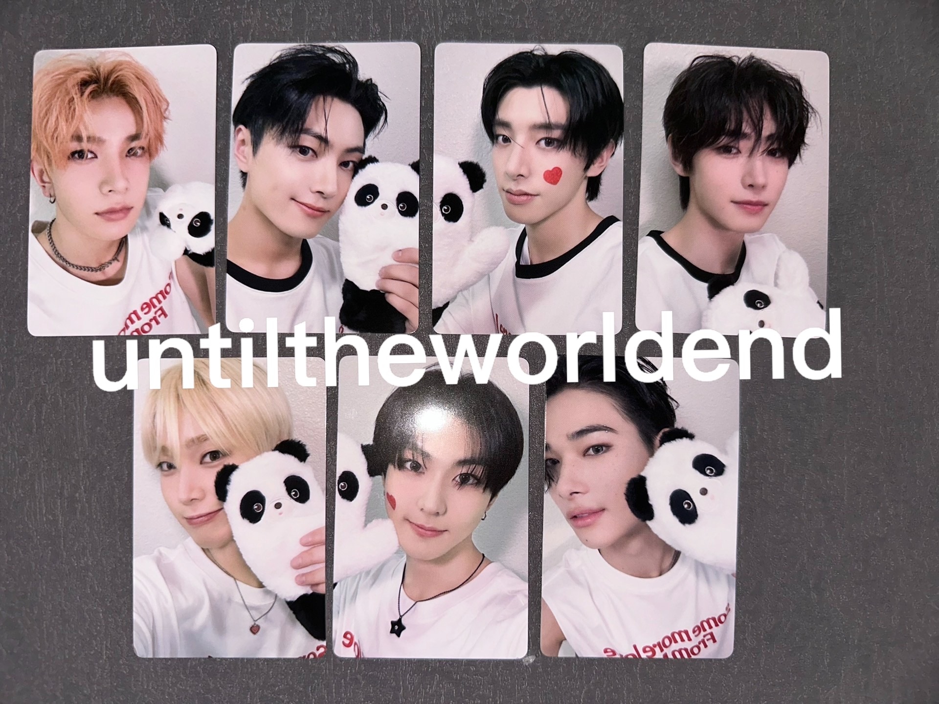 公式ENHYPENyzyパンダ特典トレカDARKBLOODmini4公式グッズ写真員7枚セット