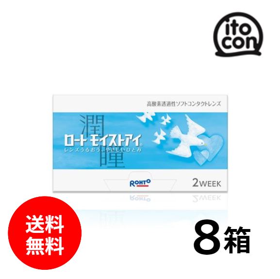 ロートモイストアイ 6枚入り 8箱