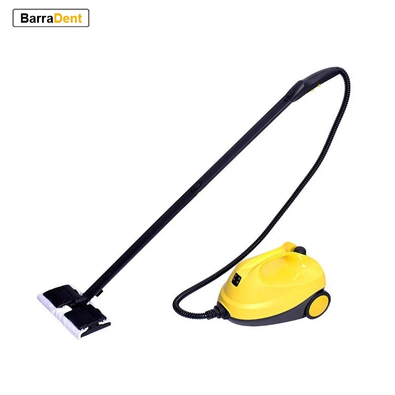 30321.0 28% OFF多目的高温スチームクリーナー,観葉用多目的ホルムアルデヒド除去,家庭用,キッチン,車用,抗菌ウイルスを殺すスチームクリーナー - AliExpress