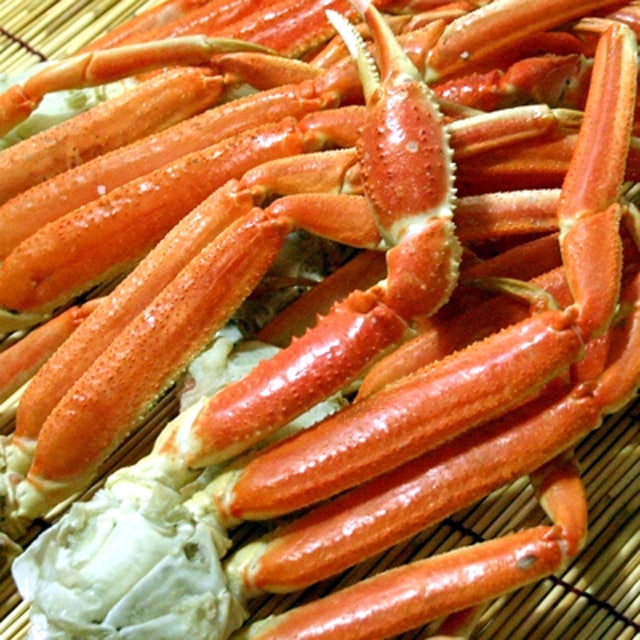 訳あり ボイル 本ズワイガニ 足 1kg 詰 ズワイガニ 脚 ずわいがに脚