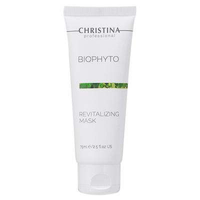 掛け軸 大徳寺 紫野 戸田実山 筆 『 山二松ノ絵 碧層々 』紙本 掛軸 美