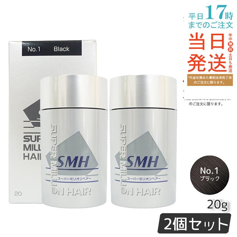 【2個セット】ルアン スーパーミリオンヘアー 20g No.1 ブラック 髪 頭 薄毛隠し 薄毛 分け目 つむじ ボリューム 男性 女性 白髪かくし