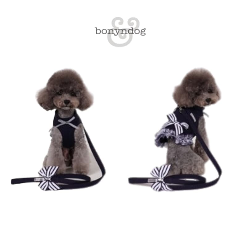 ネイビーフローリアジャケットハーネスリードセット