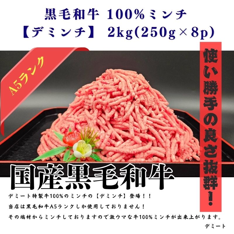 黒毛和牛 100%ミンチ【デミンチ】 2kg(250g×8p)