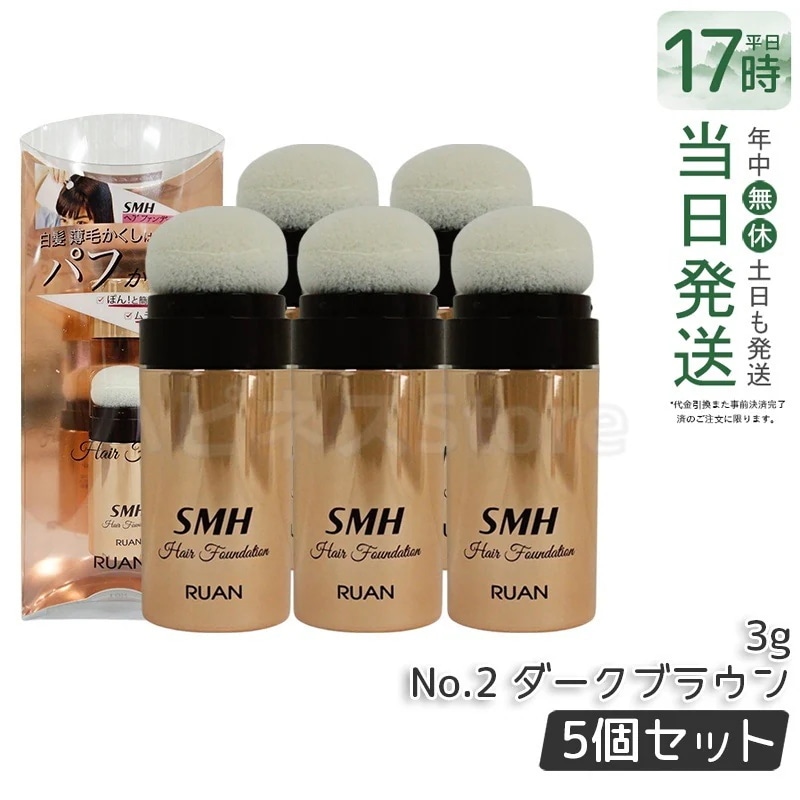 【5個セット】ルアン SMH ヘアファンデーション 3g No.2ダークブラウン