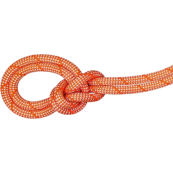 MAMMUT マムート 9.8 Crag Classic Rope 70m アウトドア クライミング用品 201005870-2107