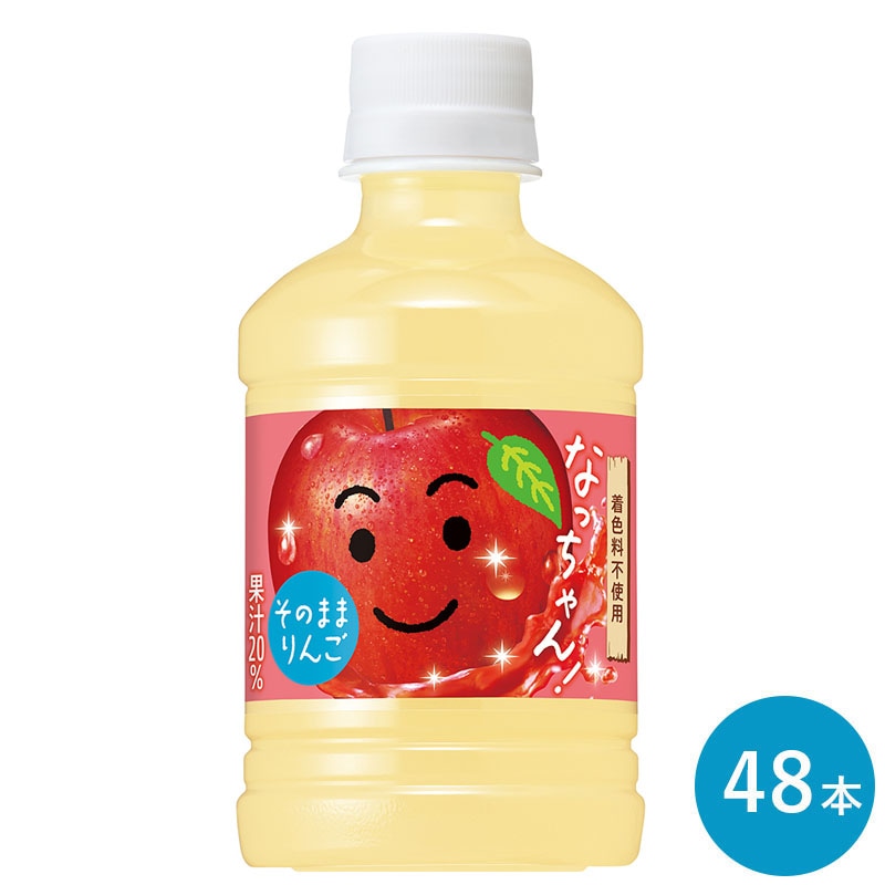 なっちゃん りんご 280ml 48本(24本入り 2ケース) セット PET 20％りんご果汁入り飲料