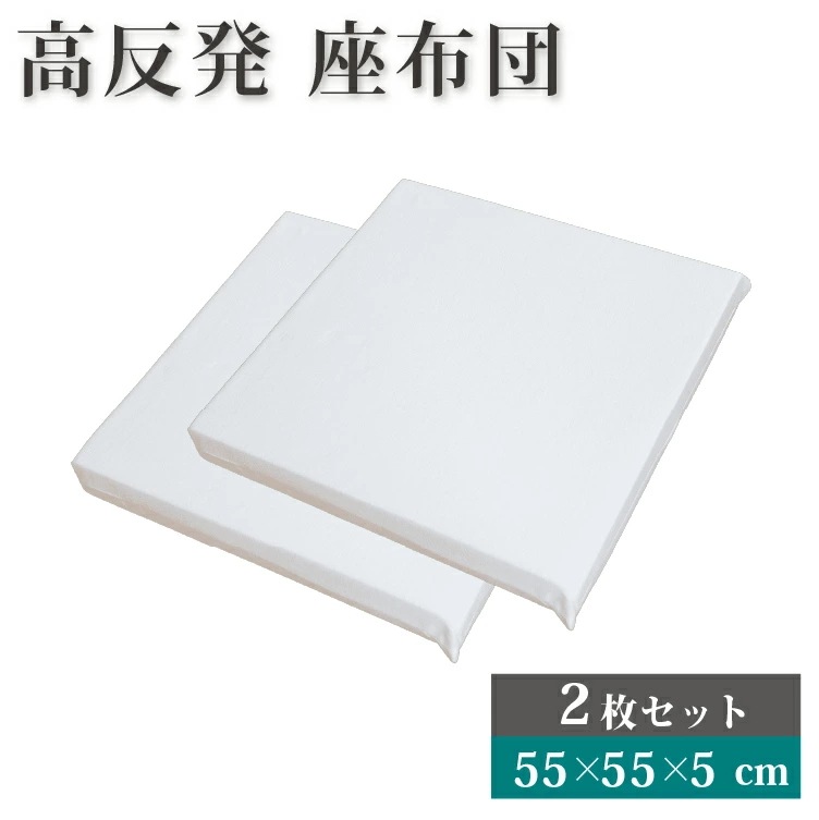 高反発 シートクッション 2枚セット 55 55 5cm ヌードクッション 55 55cm 体圧分散 クッション 座布団 疲れにくい 高反発クッション 椅子 ソファー 子供 フロアクッション